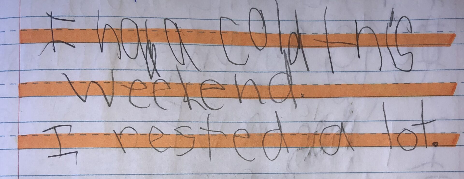 Mikey's journal entry from 2/10/14. Just writing: "I had a cold this weekend. I rested a lot."