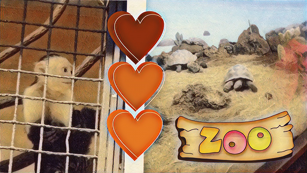 monkey in a cage and tortoises in their enclosure. heart stickers and a zoo sign.