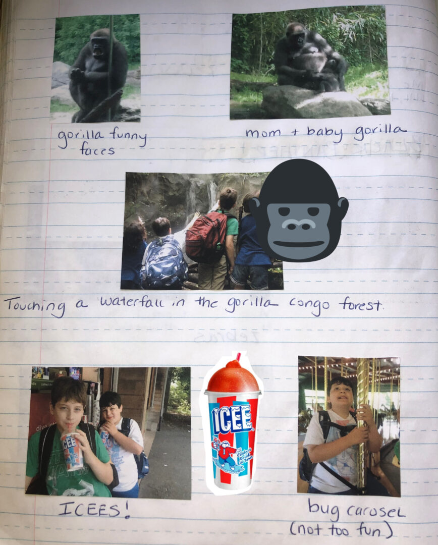 page 2 of June 20 journal entry. photos of a gorilla making funny faces, mom and baby gorilla, the kids touching a waterfall in the gorilla Congo forest, Will and Mikey drinking icees, Mikey on the bug carousel.
