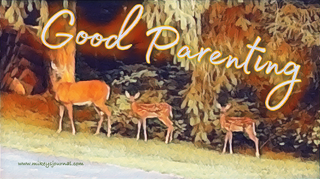 A momma deer and two baby deer, standing by the woods near our driveway, "Good Parenting"