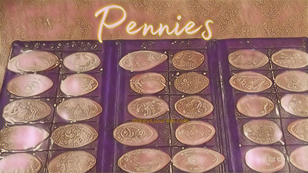 CB6028BD-4962-4117-A60A-B44CD1103E39 A blue case open with plastic slots for the souvenir pennies.