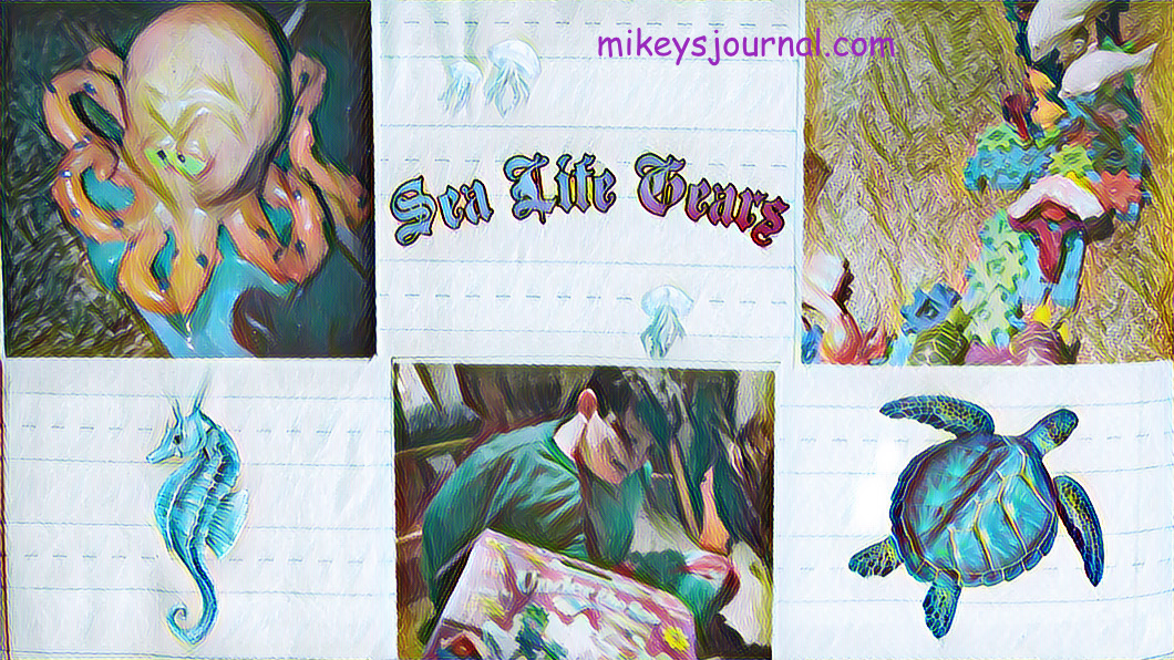 3 photos: Mikey with the gears box, a close up of the octopus gear and a close-up of the turtles and dolphins gears