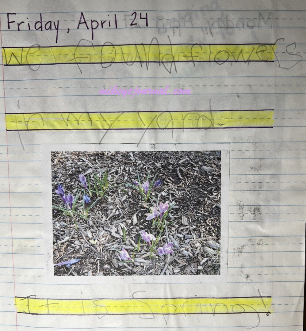 journal entry from April 24: "We found flowers in my yard. It is Spring!" photo of small purple flowers poking up through the mulch.