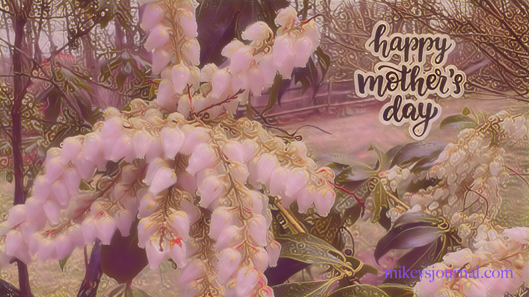 stylized photo of may flowers on a tree in our backyard with the message in script font Happy Mother's Day.