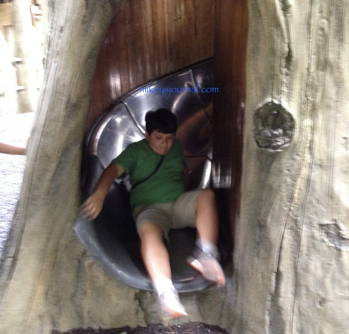 Mikey coming down the bottom of the giant tree slide.
