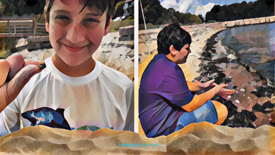 Will holding an asian shore crab and Mikey sitting on the sand watching the waves