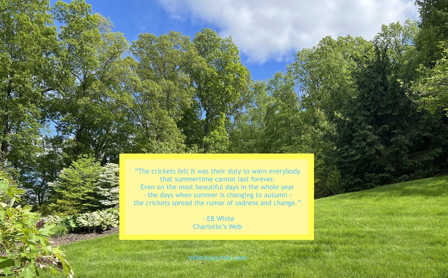 photo of a beautiful sunny backyard surrounded by woods with the printed quote superimposed. "The crickets felt it was their duty to warn everybody that summertime cannot last forever. Even on the most beautiful days in the whole year - the days when summer is changing to autumn - the crickets spread the rumor of sadness and change." - EB White Charlotte's Web