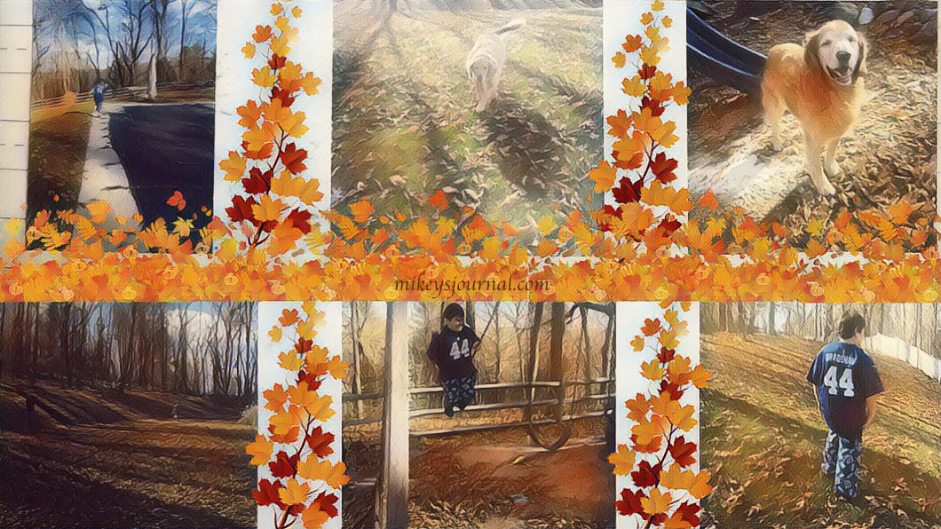 6 pictures capturing outside time in the crunchy fall leaves: Mikey walking and swinging, our golden retrievers running around and Dave and Will having a catch.