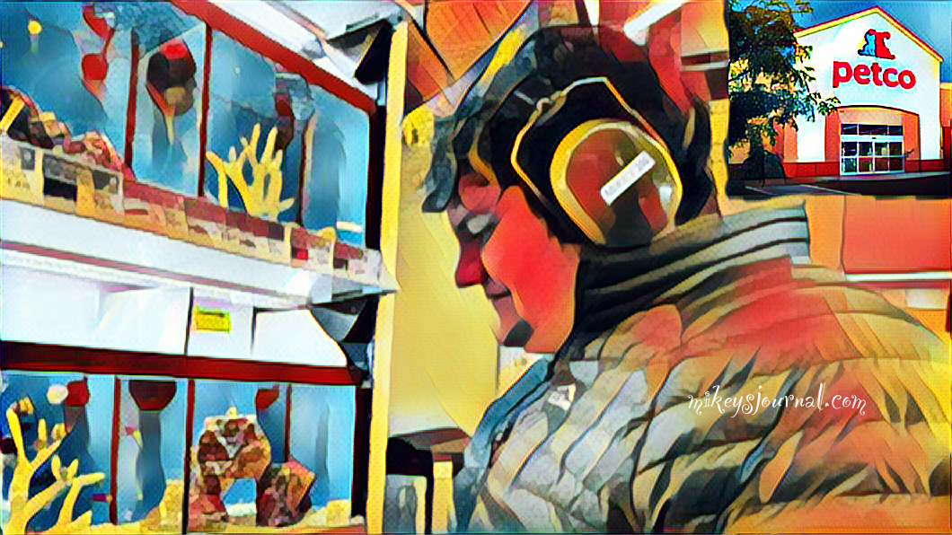 stlized photo of Mikey looking at the fish tanks at petco.