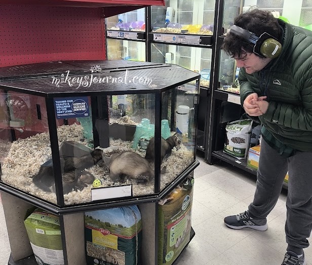 Mikey leaning over smiling at the Ferrets in their cage.