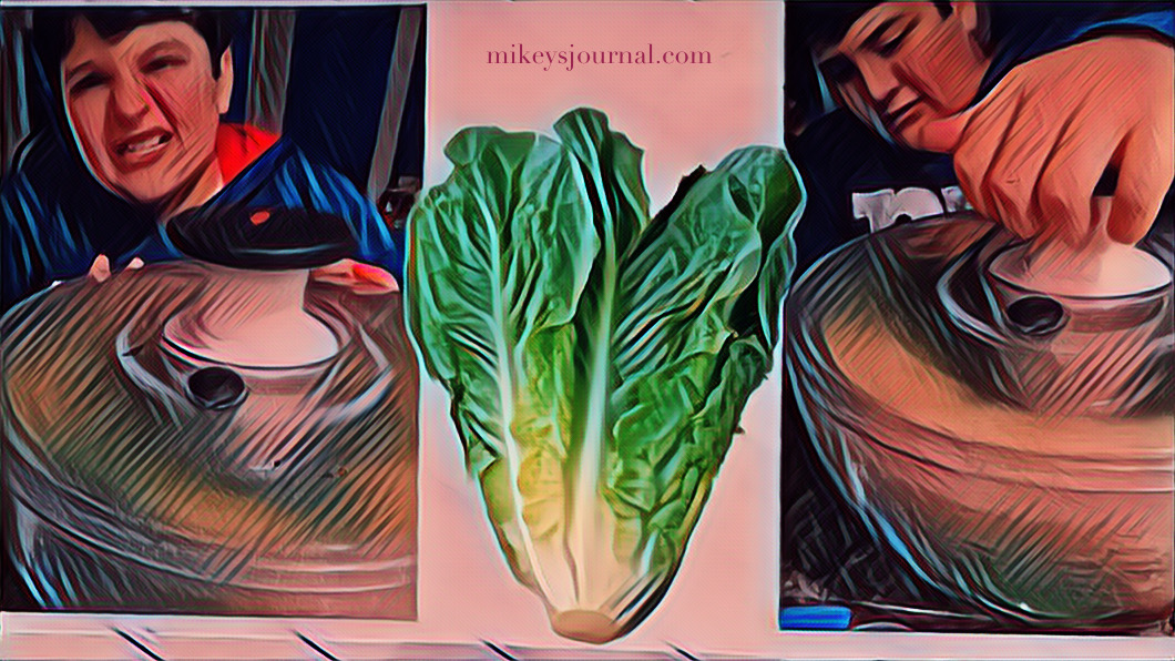 A609C7BA-61E7-4DCD-9249-21887AA9E546 stylized layout with a photo of a head of romaine flanked by two photos of Mikey using the salad spinner