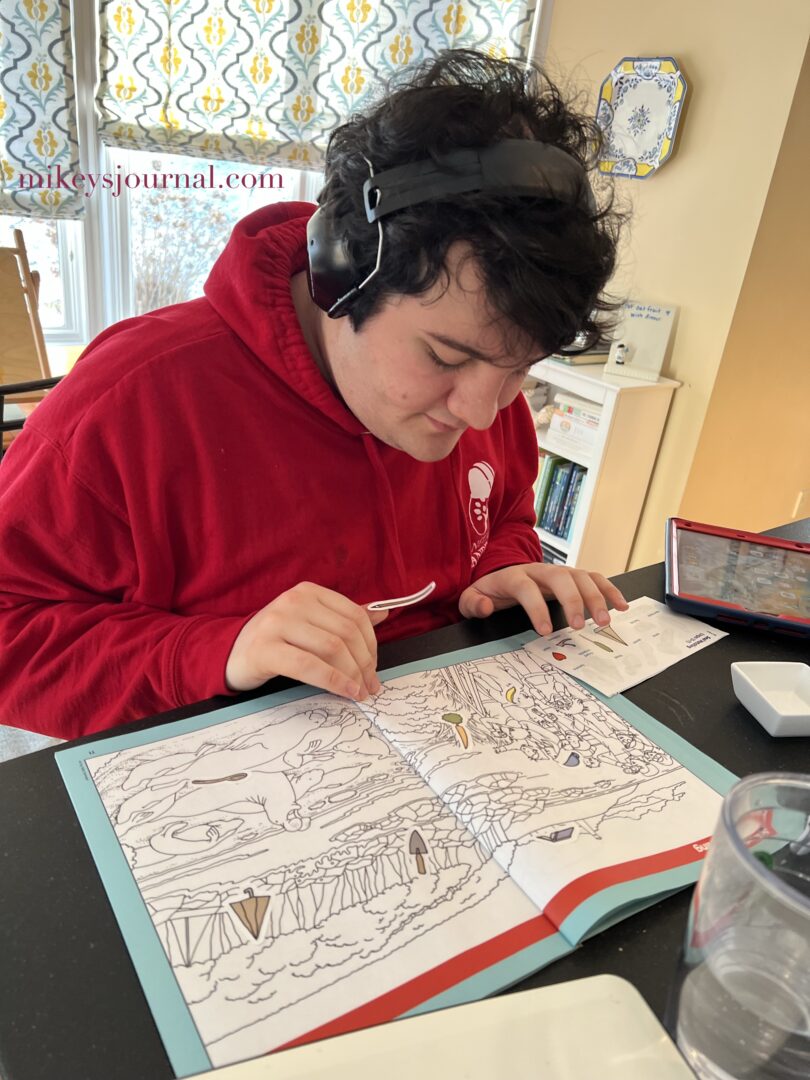 Mikey holding a paintbrush sticker, looking for the hidden paintbrush in the bigger hidden picture page. He looks focused and calm.