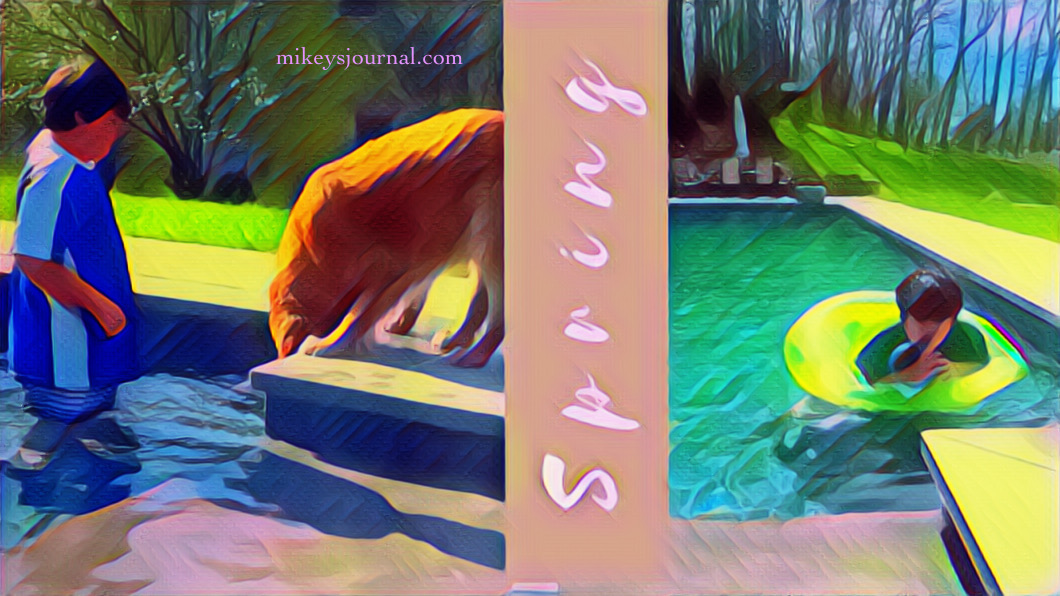 stylized photos: one of Mikey standing on the pool steps (with one of our dogs drinking out of the pool) and one of mikey floating in an inner tube.