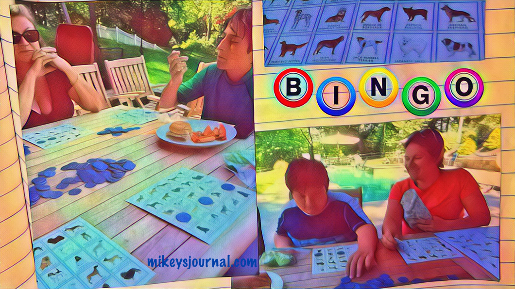 stylized photo of Dog bingo in action