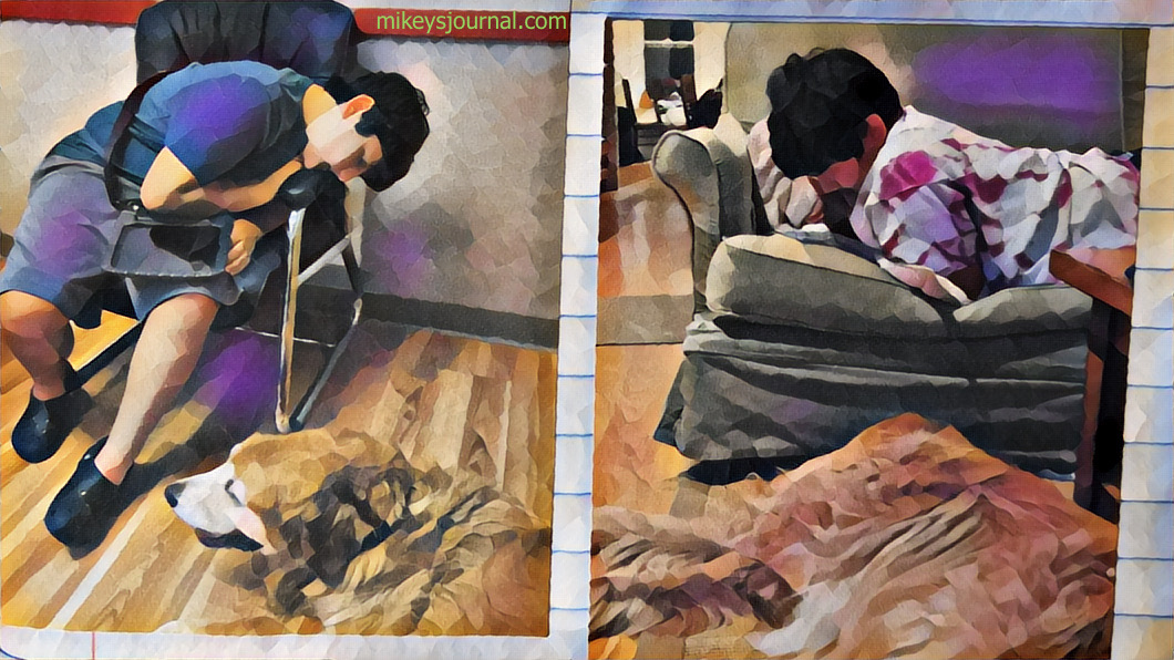 stylized photos of Mikey and max together at the vet and at home.